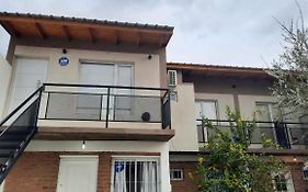 Ballena Franca